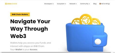 Governance Token, Binance Coin (BNB), EVM